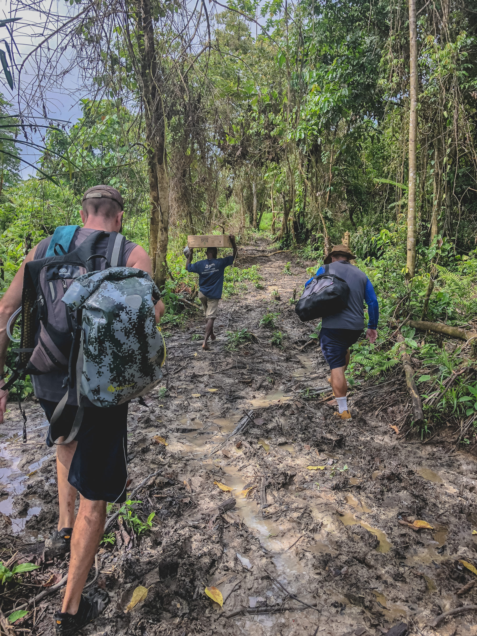 4 Jungle Trek in Papua