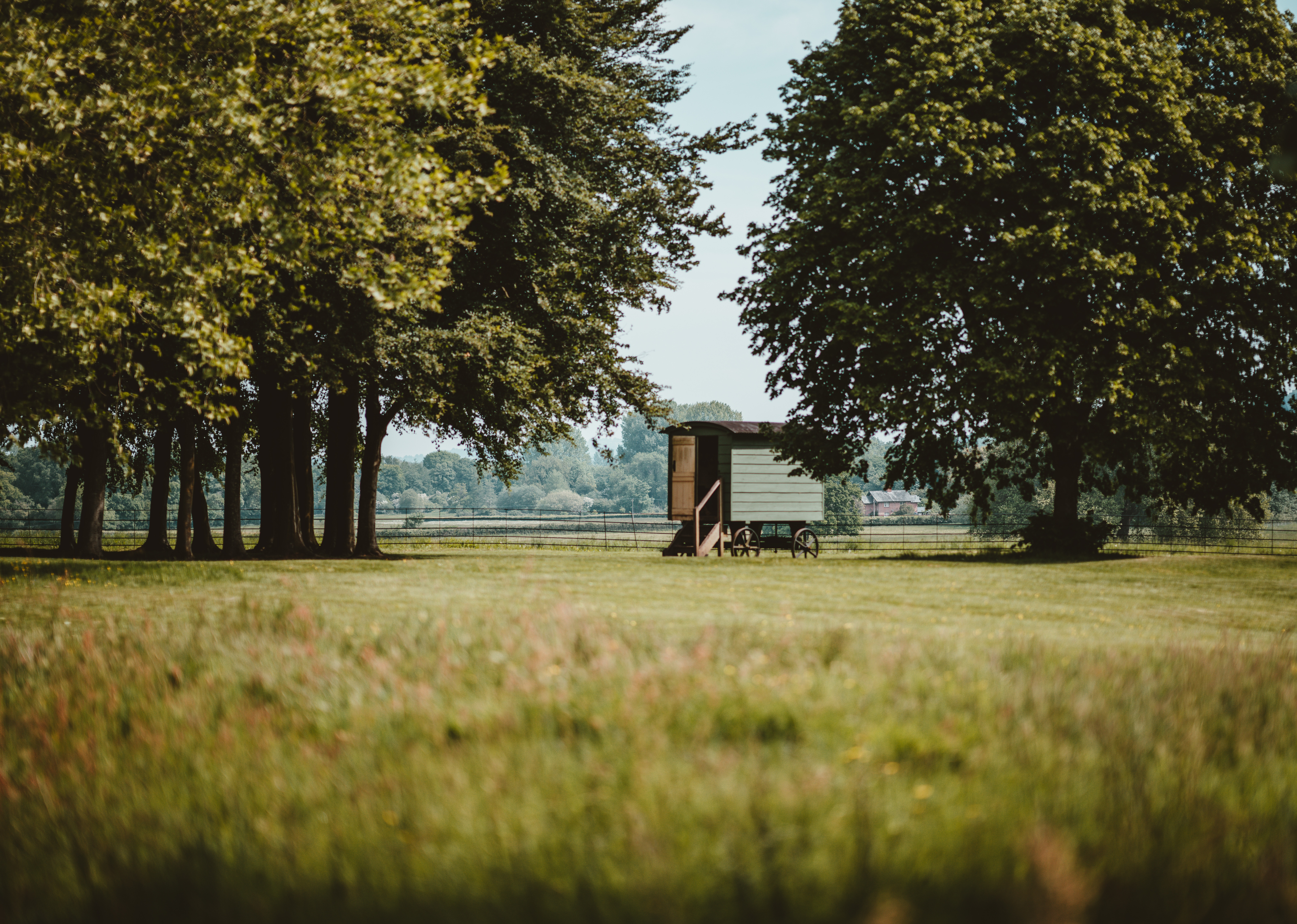 annie-spratt-691935-unsplash