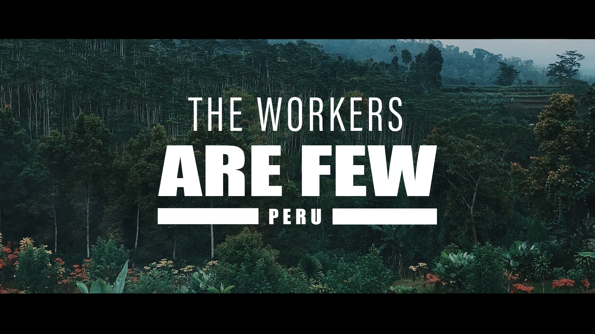 The Workers Are Few (new Thumbnail)