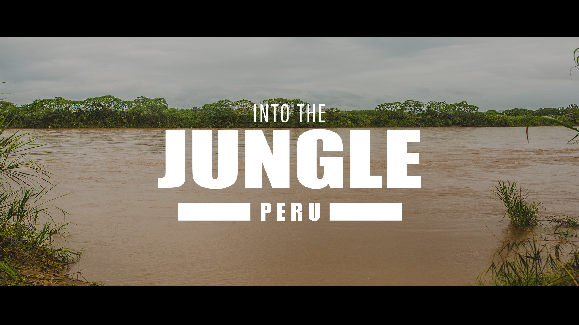 Into The Jungle (new Thumbnail)