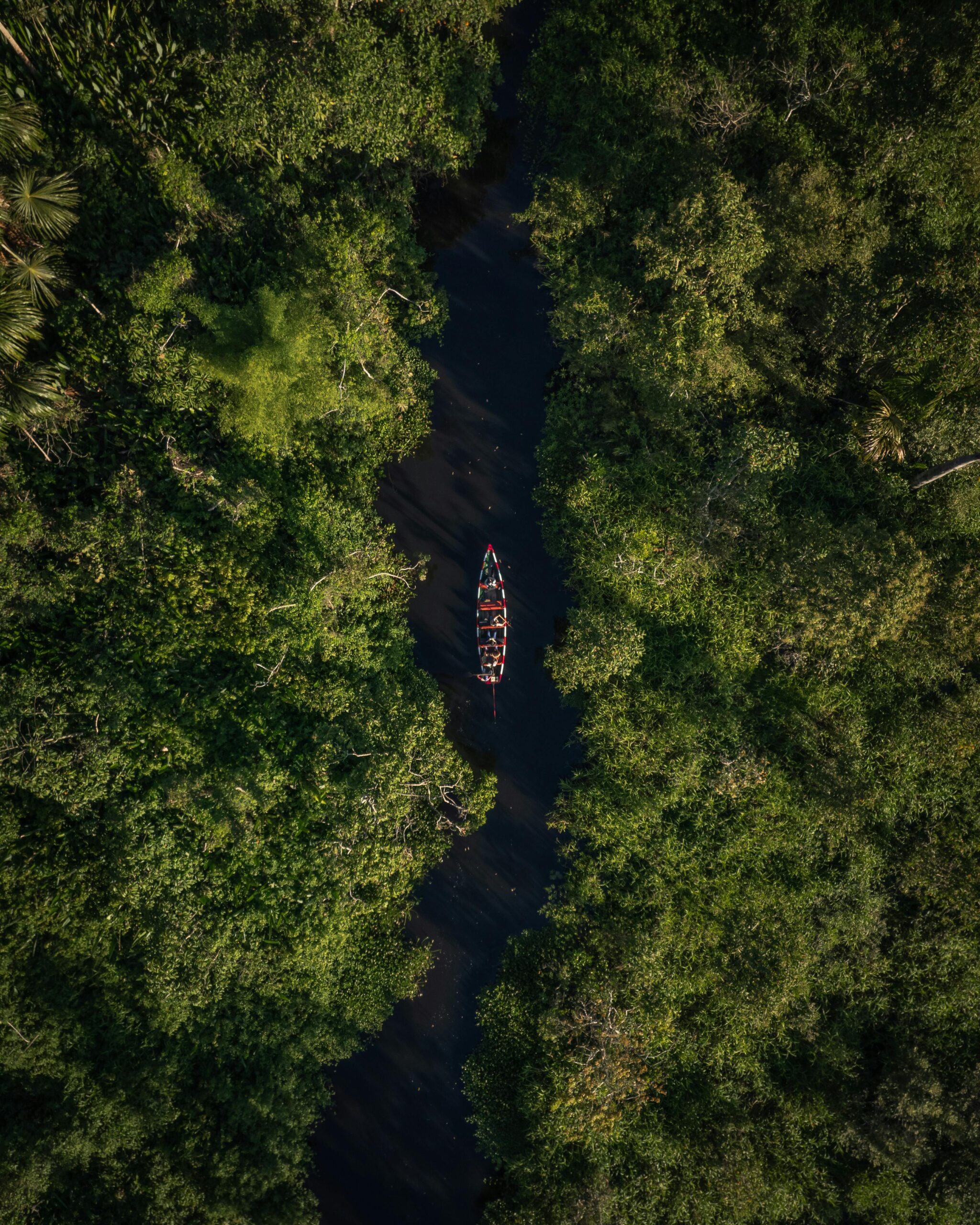 Latin America Protected Missionaries